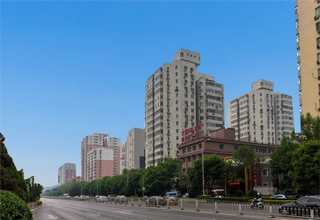 辽宁金刚网价格